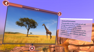 PI VR Animals screenshot 0