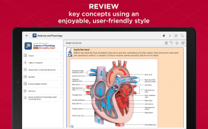 Anatomy & Physiology Made Easy screenshot 5