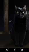 Chat noir mignon fonds d'écran animés screenshot 9
