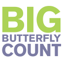 Big Butterfly Count Icon
