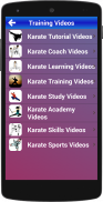 Entrenamiento de Karate screenshot 2
