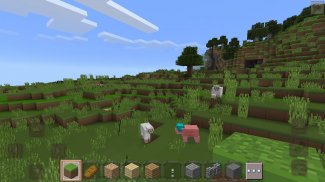 Pro Master World - Block Craft Building 2021 screenshot 6