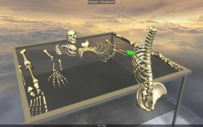 Body Disassembly 3D screenshot 2