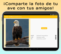 AvesID - Identifica aves screenshot 11