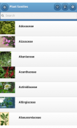 Plant families screenshot 0