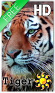 Tiger Live Wallpaper screenshot 0