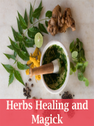 Herbs healing and magic screenshot 0