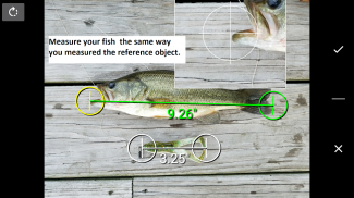 Fisherman's Mobile Weigh Stati screenshot 6