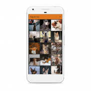 Pets: Dog & Cat Wallpapers screenshot 4