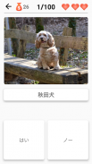 犬の品種 - 犬に関するクイズ！ screenshot 3
