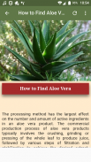 Uses & Benefits of Aloe Vera screenshot 0