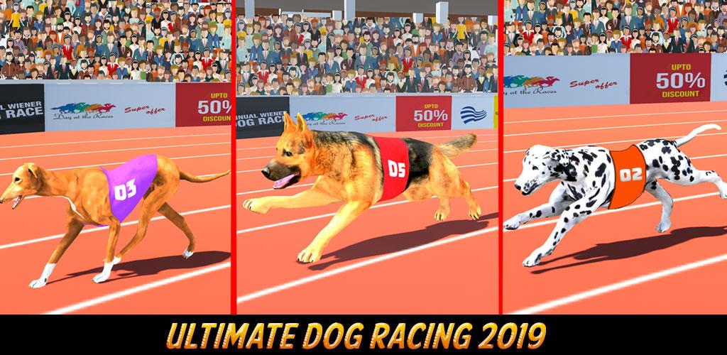 Dog Racing game - dog games 2.0 Free Download