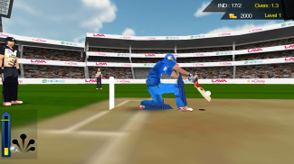 Free Hit Cricket - Free cricket game screenshot 3