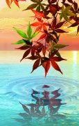 Water Drop. Flowers and Leaves screenshot 8