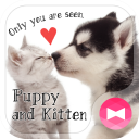 Cute Theme Puppy and Kitten