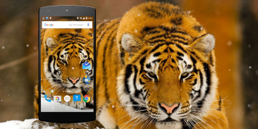 Download do APK de Mundo Tigre