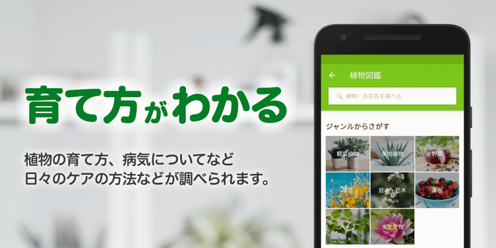 Greensnap 植物 花の名前が判る写真共有アプリ 2 2 Download Apk Para Android Aptoide