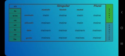 Possessivpronomen screenshot 2