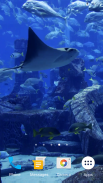 Aquarium Video Live Wallpaper screenshot 5