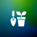 Container Gardening