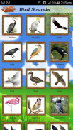 Birds & Animal Sounds screenshot 4