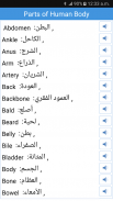 Daily Words English to Arabic screenshot 2