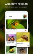 Insect identifier by Photo Cam screenshot 12