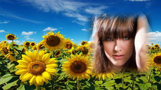 sunflower photo frames editor screenshot 1