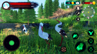 The White Stork screenshot 8