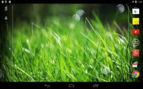 Grass Live Wallpaper screenshot 3