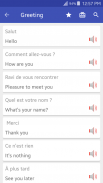 Learn and speak French Offline screenshot 6