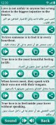 Learn Arabic Language screenshot 4