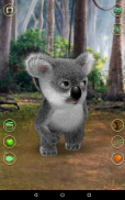 Talking Koala Bear screenshot 5