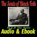 The Souls Of Black Folk Audio Icon