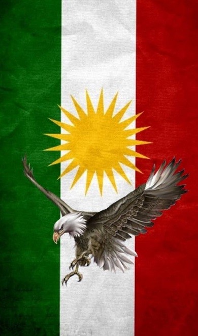 Premium Photo  Full frame closeup on a waving kurdish flag in 3d rendering