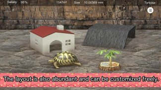 Tortoise to grow relaxedly screenshot 3