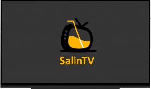 Salin Tv screenshot 7