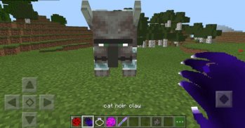 Ladybug Super Cat Minecraft screenshot 1