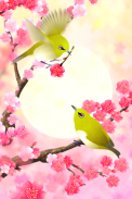 Plum-Blossom and White-Eye Tri screenshot 2