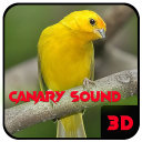 Canary 3D Sound Master