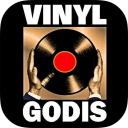 Vinylgodis Icon