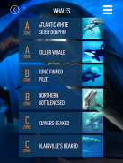 Whales of Iceland Audio Guide! screenshot 8