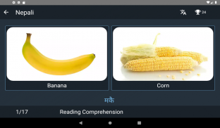 Nepali Language Tests screenshot 18