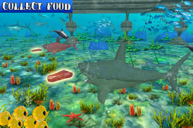 Big Shark Vs Small Sharks screenshot 11