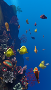 Ocean Aquarium screenshot 22