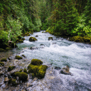 Rocky Hilly River LWP Icon