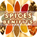 Spices Benefits Icon