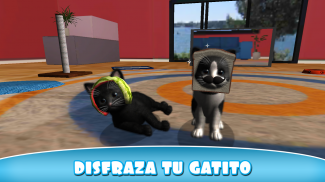 Daily Kitten : gato virtual screenshot 6