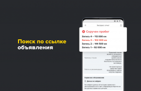 Проверка авто по базе ГИБДД РФ screenshot 6