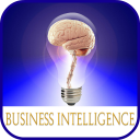 Business Intelligence